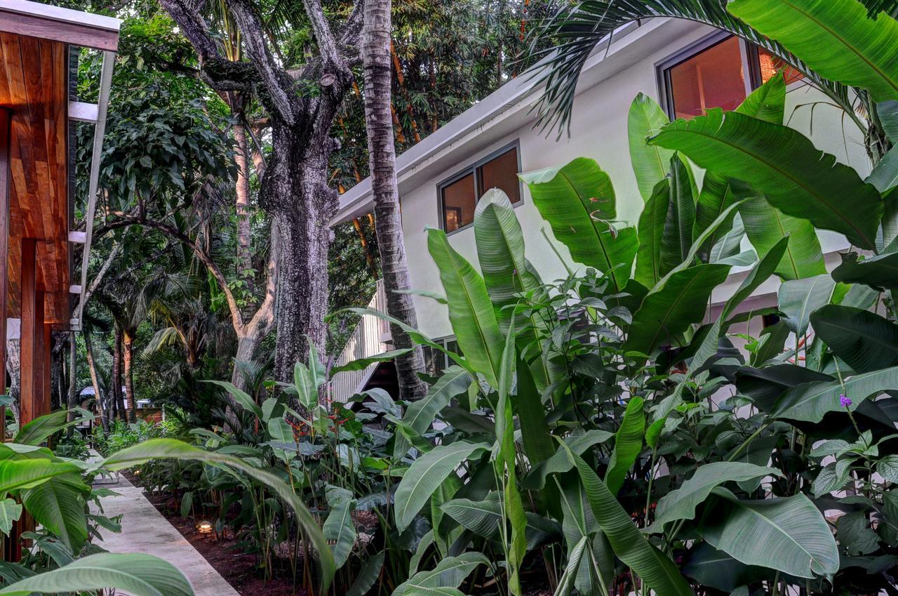 Moana Surf Resort Nosara Ngoại thất bức ảnh
