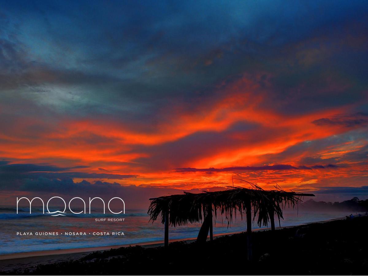 Moana Surf Resort Nosara Ngoại thất bức ảnh